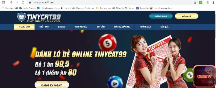 Tinycat99 là nhà cái uy tín số 1 tại Việt Nam